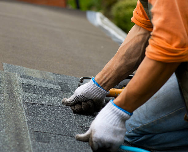 Best Roof Repair Services  in Highland Acres, DE